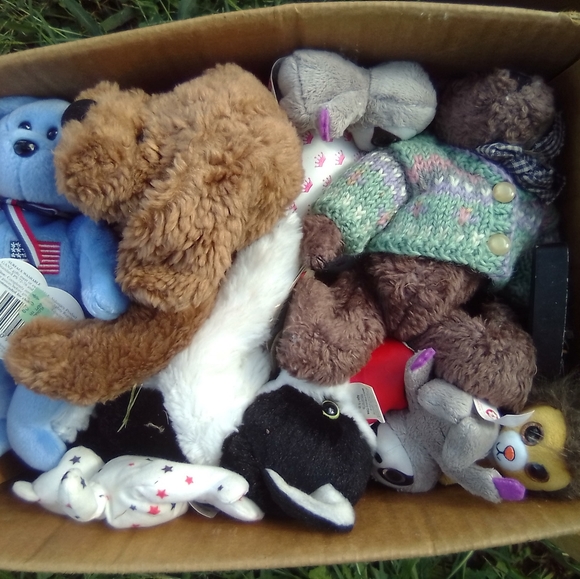 Clothes, Shoes, Home items, Car accessories, jewelry, tools, kitchen items, ect. - Picture 5 of 16